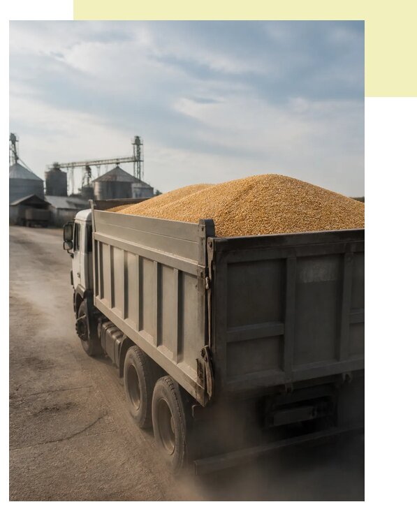 Перевозка сельхозпродукции навалом в Березники по цене от 3090 р. | Агросервис-Брз